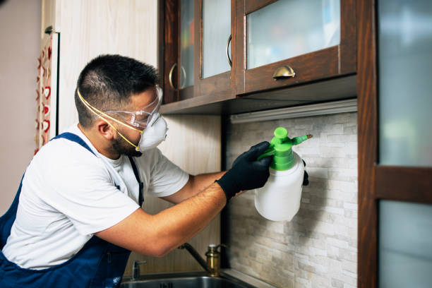Best Wasp Removal Services  in Mount Olive, MS