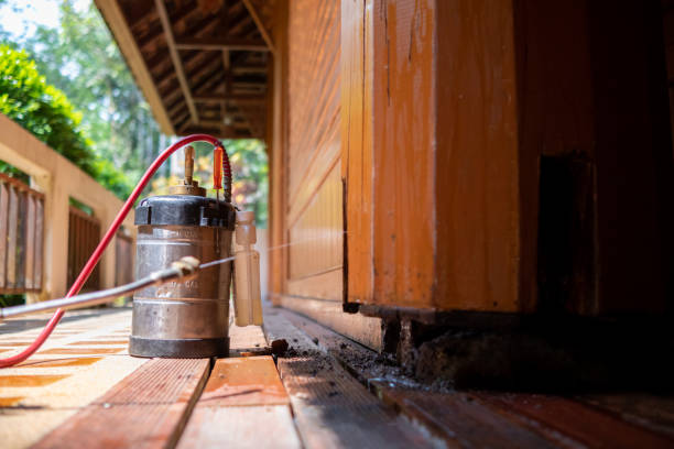 Best Exterminator Services  in Mount Olive, MS